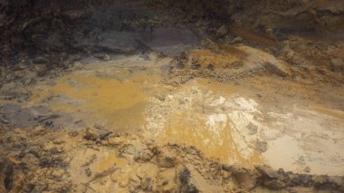 Hasarlı veya tahrip edilmiş ekosistemlerdeki mimari tarafından yenilenme veya ekolojik restorasyon