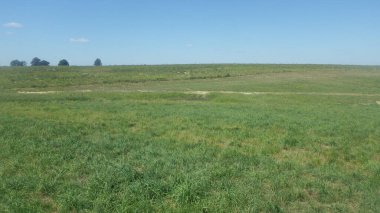 Dünya üzerinde büyük bir yaşam alanı olarak farklı çeşitliliklere sahip otlaklar.