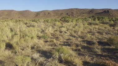 Dünya üzerinde büyük bir yaşam alanı olarak farklı çeşitliliklere sahip otlaklar.