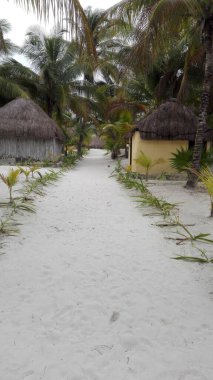 Bahçe yolu ya da bahçe yolu bahçe tasarımında önemlidir