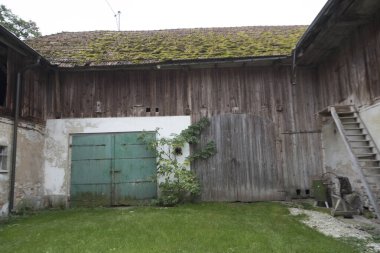 Bahçe tasarımı ve canlı mimarinin en temel çimenliği.