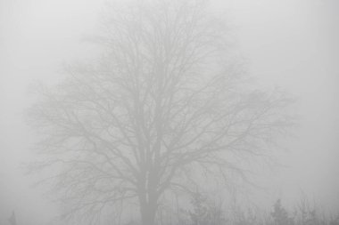 air pollution and climate change, environmental protection and reducing of pollutant emissions