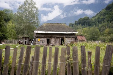 Alp kulübesi ve dağ çayırlarında çiftçilik, Alpler 'de tarım.