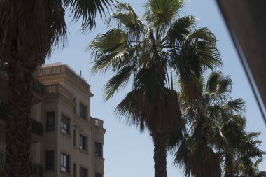 Barselona çok iyi bilinen bir tatil beldesi ve görülecek çok manzarası var.