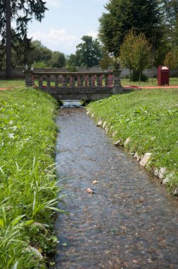 Bahçecilik ve bahçe tasarımı, bitkilerle manzara planlaması.