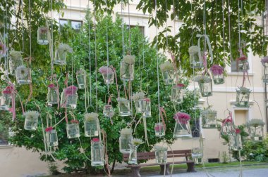 Bahçecilik ve bahçe tasarımı, bitkilerle manzara planlaması.