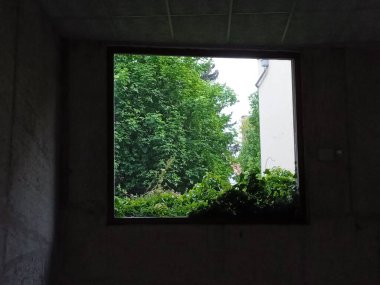 Bahçecilik ve bahçe tasarımı, bitkilerle manzara planlaması.