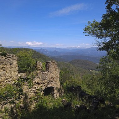 Terk edilmiş alp otlakları ve dağ kulübesi, Alplerde tarım.