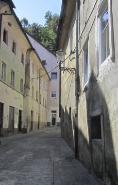 Ljubljana Avrupa 'nın başkenti Slovenija' da yer almaktadır.