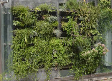 Yeşil, hayat dolu şehir olması gerektiği gibi.