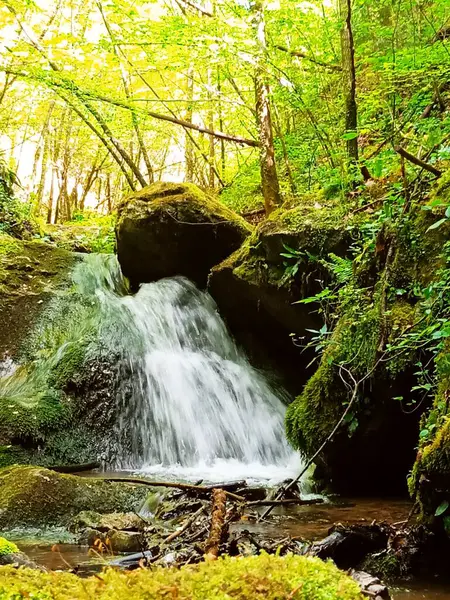 stock image the stream of a brook or a creek in nature