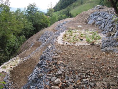 Hasarlı veya tahrip edilmiş ekosistemlerdeki mimari tarafından yenilenme veya ekolojik restorasyon