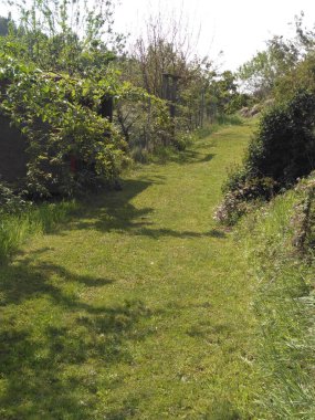 Hasarlı veya tahrip edilmiş ekosistemlerdeki mimari tarafından yenilenme veya ekolojik restorasyon