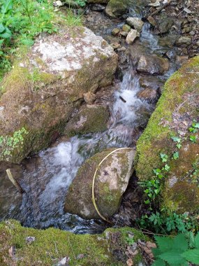 bir derenin ya da doğadaki bir derenin akıntısı
