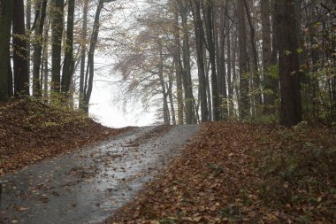 bir trafik yolu ya da ulaşım yolu hareketlilik için altyapı olarak