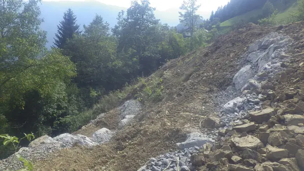 Hasarlı veya tahrip edilmiş ekosistemlerdeki mimari tarafından yenilenme veya ekolojik restorasyon