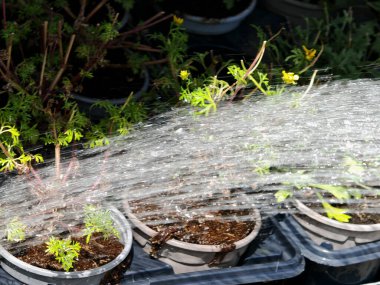 Bahçıvanlık ve bahçe işleri meslek olarak, işçilik işi olarak.