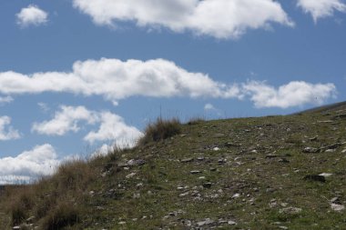 Küresel ısınma ve çevre değişimi yeni bir dünya