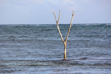 Küresel ısınma ve çevre değişimi yeni bir dünya
