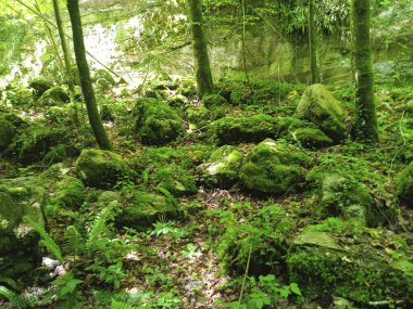 Küresel ısınma ve çevre değişimi yeni bir dünya