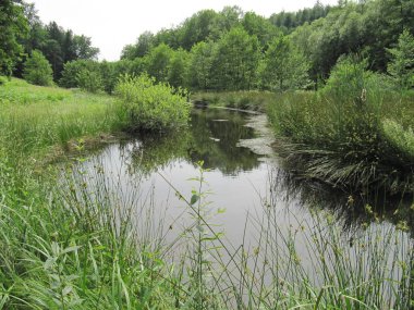 Bahçe gölleri su tasarrufu yapıyor.