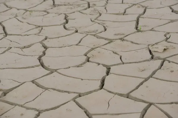 stock image drought in agriculture on the field,dryness in time