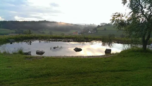 stock image garden ponds are saving water