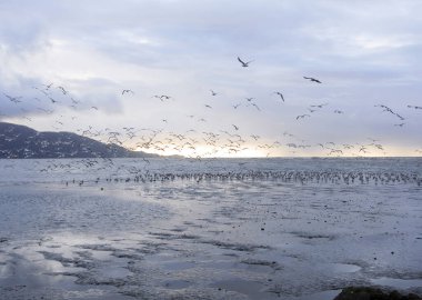 Sahildeki sahil şeridi, deniz kenarındaki yaz tatili.