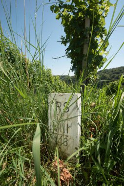 Avusturya, Avrupa 'nın göbeğinde bir ülkedir.