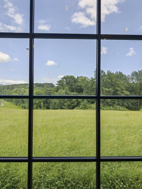 Bahçe tasarımı ve canlı mimarinin en temel çimenliği.