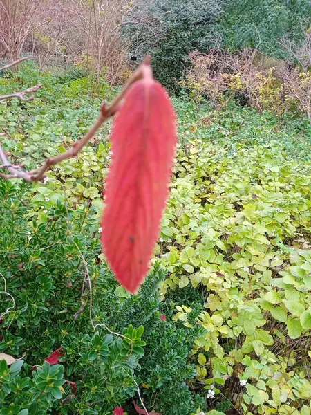 Küresel ısınma ve çevre değişimi yeni bir dünya