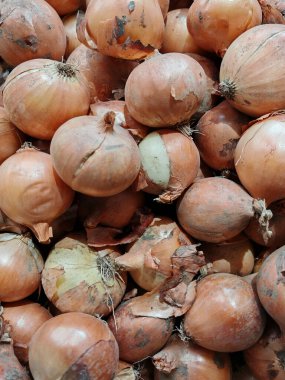 Sebzelerin bir parçası olarak soğan ve sağlıklı beslenme