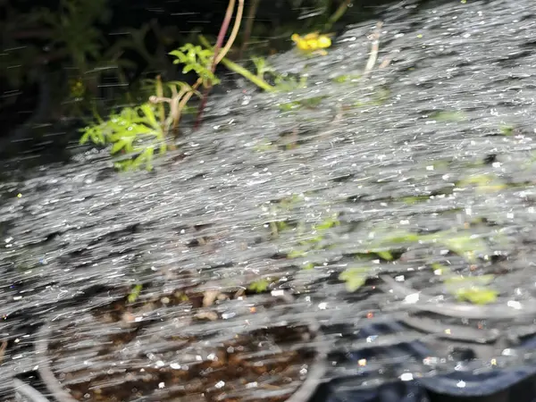 bahçe tasarımı ve canlı mimaride su