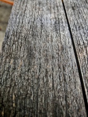 Kalıplar ve ahşap tanecikler, ahşap yüzeydeki yapılar