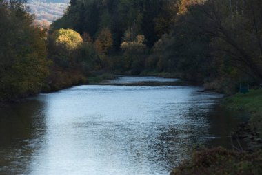Hasarlı veya tahrip edilmiş ekosistemlerdeki mimari tarafından yenilenme veya ekolojik restorasyon