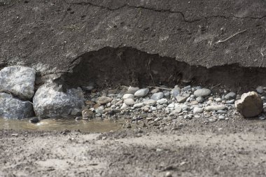 Hasarlı veya tahrip edilmiş ekosistemlerdeki mimari tarafından yenilenme veya ekolojik restorasyon