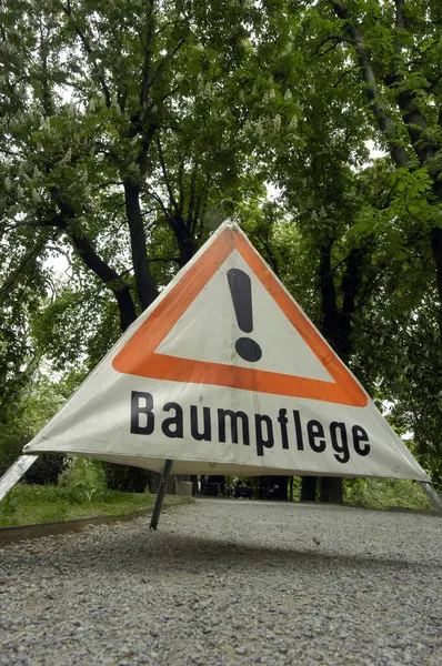 Ağaç işleri için işaret ya da logo, ağaçlarla ilgilenmek.