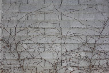 İnşaat sektöründe inşaat malzemesi olarak beton veya çimento