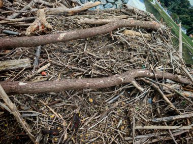 Orman, odun ve kereste üretim sürecinin bir parçası.