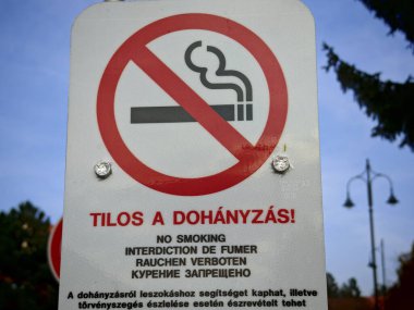 sigara içmeyi, sigara içmeyi ya da sigara içmeyi