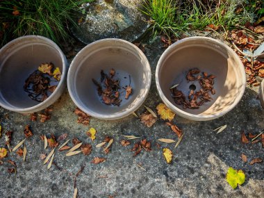Bahçede çalışan bahçıvan, bitki yetiştirme ve bitki bakımı 