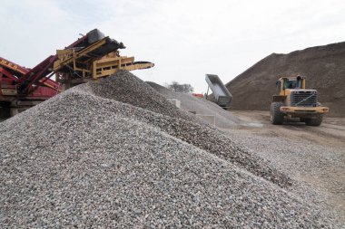 taş kırma işleri için bir safra bitkisi ya da çakıl bitkisi