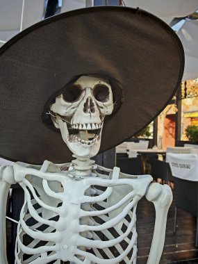 Bir kafatası ve çapraz kemikler ölümün ve ölümün sembolü.