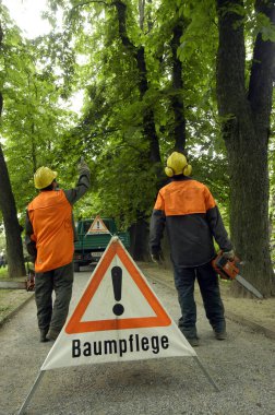 Ağaç işleri için işaret ya da logo, ağaçlarla ilgilenmek.