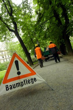 Ağaç işleri için işaret ya da logo, ağaçlarla ilgilenmek.