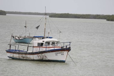 Meksika kıyı şeridinde balık ve balıkçılık yakalamak.