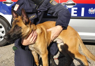 Avusturyalı polis gücü de diğer polisler gibidir.