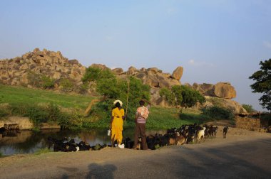 Hindistan 'da tarım ve tarım, bitki yetiştirme ve gıda üretimi