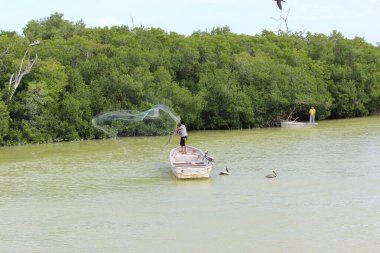 Meksika kıyı şeridinde balık ve balıkçılık yakalamak.