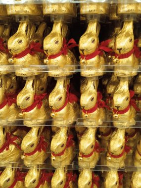 Çiftlik hayvancılığında bir tavşan ya da bir tavşan.